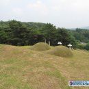 이극견 가계 석물군 이미지