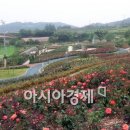 연초체육공원 이미지