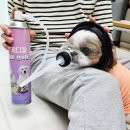 서울축협축산유통본부 | 강아지 호흡곤란 CU메디칼 강아지산소호흡기 산소캔 세트 후기