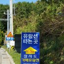 장사도가배유람선