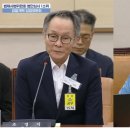 서영교 카카오 검색결과