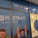 스콜라몬테소리고양 이미지