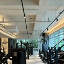 로마짐 합정 이미지