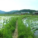 고모동 경로당 이미지