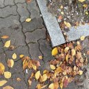 반곡중학교 | 좋은 밤 좋은 꿈