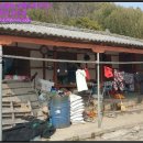 현산면사무소 이미지