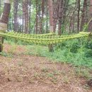 해오름 유아숲체험원 이미지