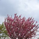 우산천변길 이미지