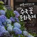 부산태종대회집앞 | 부산 여행 필수 코스! 7월의 영도 태종대 꽃문화축제 2026, 수국과 바다가 한곳에