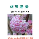 분꽃농장 이미지