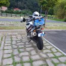 진동리 유적 | 창원 진동리 유적지 탐방 후기