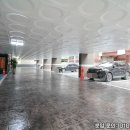 썬펠리스 이미지