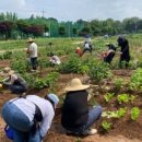 광역농장 이미지