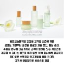 씨피코스메틱 - 유성구 문지로 193 | 씨피코스메틱