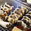 회랑장어랑 이미지