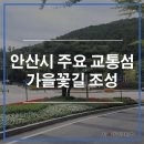 안산시청 앞 교통섬 이미지