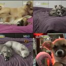 두모농장 이미지