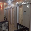 원조회세꼬시