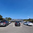 녹차분재로 이미지