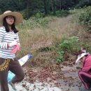 월야농장 이미지