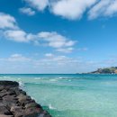 제주M리조트 이미지