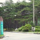 에이스가요주점 네이버블로그