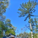 운문호반에코트레일 | 청도의 숨은 명소! 운문호반 위로 펼쳐지는 공암풍벽! ( 청도팔경 / 운문호반에코트레일 )