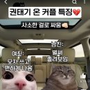 유튜브 슈뢰딩거의고양이 알아? ̆̈ 이미지