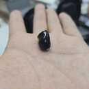 덴마크 오티콘 보청기 이미지