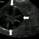 24시 송도힐 동물메디컬센터 이미지