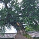 월현마을앞뜰 | 전주 한옥마을 여행지 갈만한곳 | 전주향교 | 전북 가볼만한곳