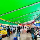 펫밀리즈 이미지