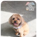 경희궁 바른 동물병원 이미지