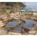 본오 초등학교 이미지