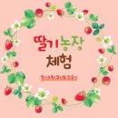 민락최강태권도 이미지