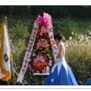 양재천 수변무대1 Daum카페