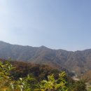 부흥정