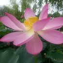 행복한 중개업으로 해피머니 만들기 이미지