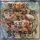 벌떡꼼장어 | [내돈내먹추천] 고양시 일산 알쭈구미 숯불구이 맛집-벌떡꼼장어알찬쭈꾸미, 솔직후기