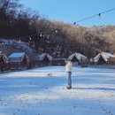 오마켓 | 여주 반려동물 동반 바비큐 식당 추천 | 강아지랑 함게 가기좋은 ‘산오마켓’ 솔직 후기