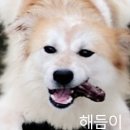 해듬약국 네이버블로그