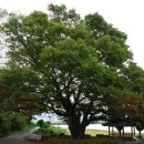 감동마을회관 이미지