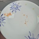 카멜레온 | 경기 성남 도촌동빵집 카멜레온 베이커리 후기