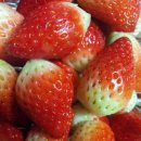 백동농장 이미지