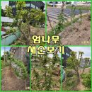 텃밭 - 서구 가정로380번길 4-1 | 텃밭