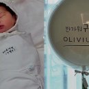 박세영 카카오 검색결과