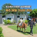 통나무밸리 | 제주 애월 숙소 가성비 좋은 로그밸리펜션 무료 승마 동물먹이주기 체험