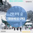 평창 진부면 체류형쉼터 .농원 구상도)! 산과 개울 그림같은 풍경