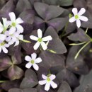 우리주차장 이미지