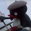 제주일상 이미지